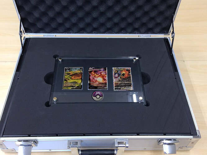 Kaiba Charizard Case