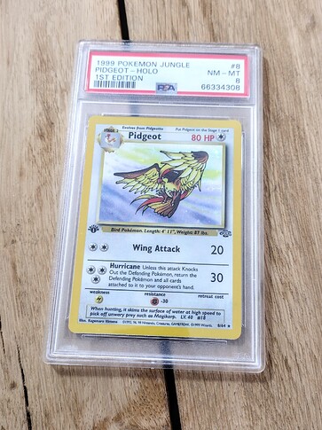 IMG_20230309_135926231