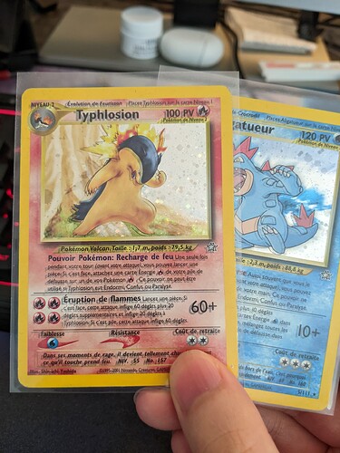 Double text French Typhlosion