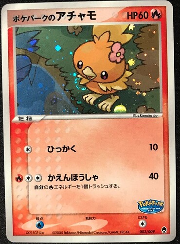 PokePark's Torchic