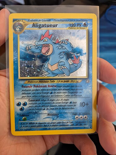 Double text French Feraligatr