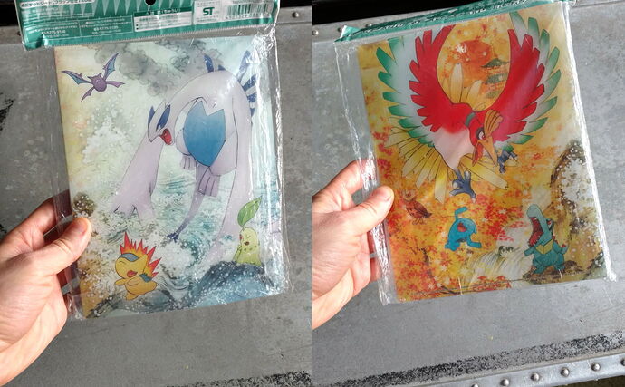 heart gold and soul silver pokemon center binder