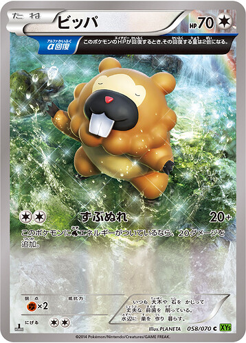 XY5 058:070 Bidoof