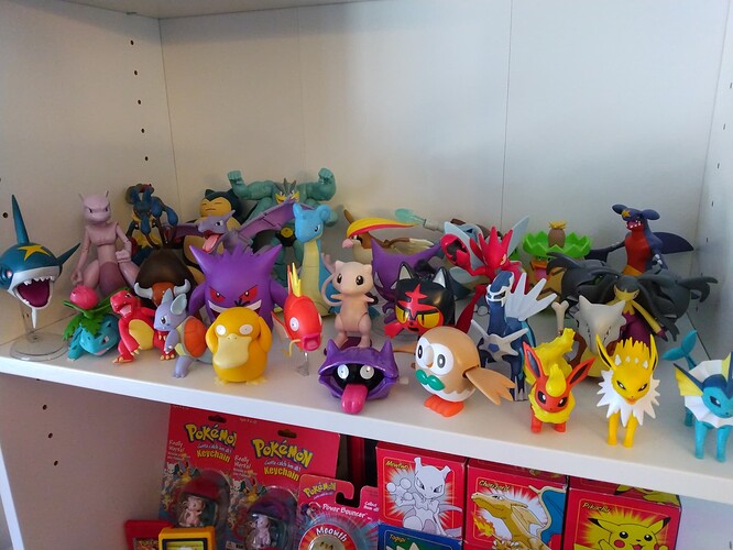 IMG_20221019_110347376