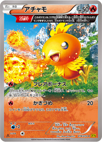 XY5 018:070 Torchic