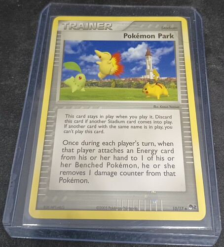 IMG_20221109_144601522