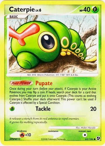 caterpie