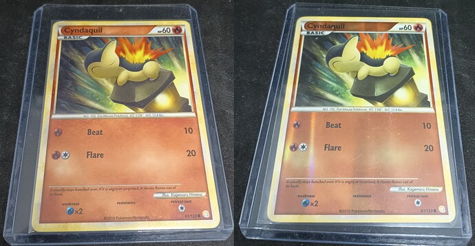 HeartGoldSoulSilver1