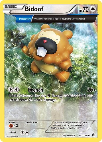 117:160 Bidoof