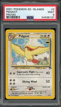 Pidgeot A