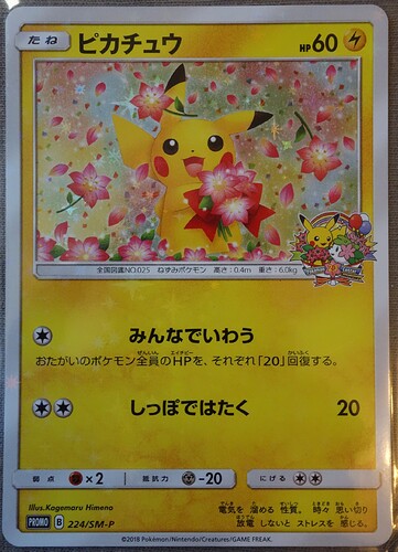 224/SM-P Pikachu