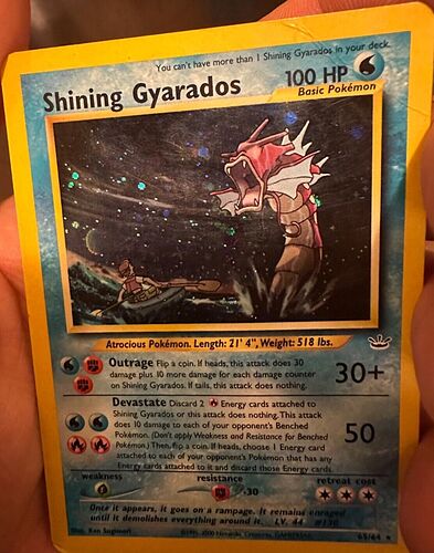 Shining Gyarados 1