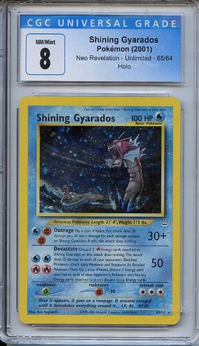 Shining Gyarados 2