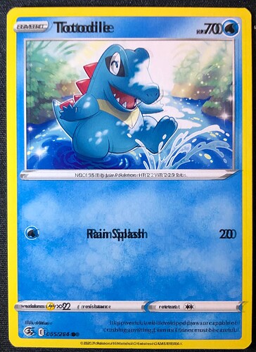 Double text Totodile