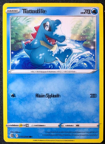 Double text Totodile