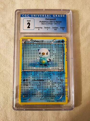 FB_IMG_1669145213245