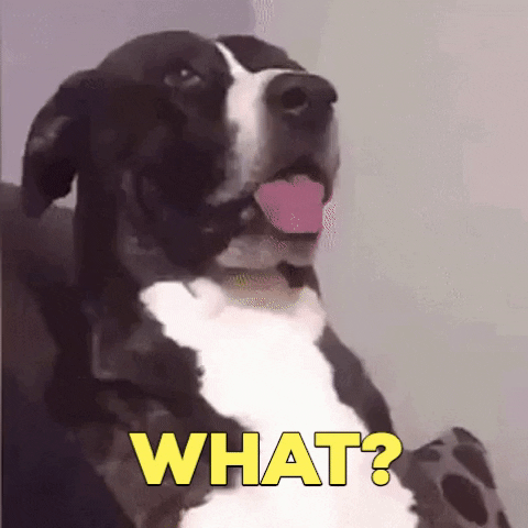 giphy-22