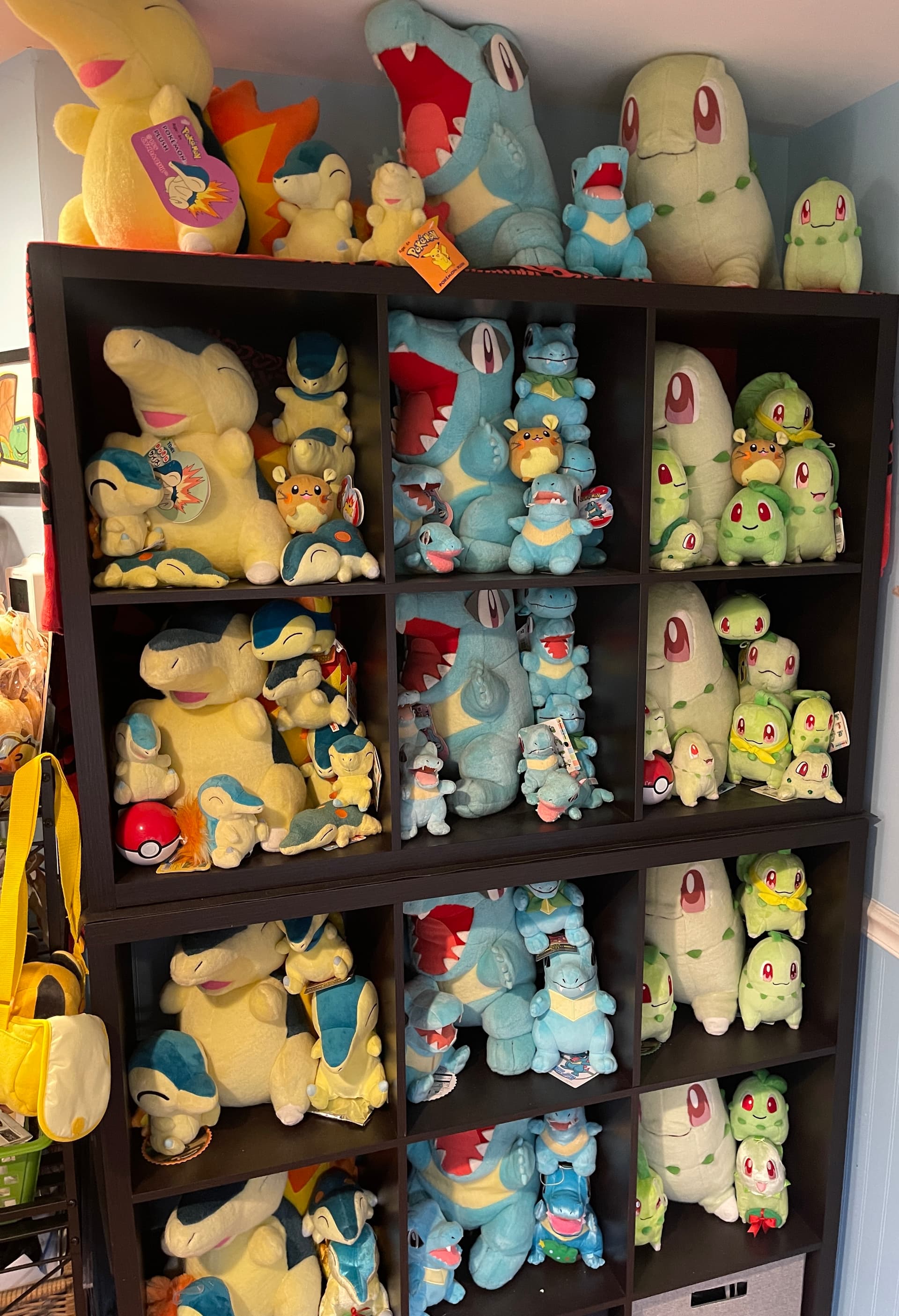 Pokemon plush collection outlet