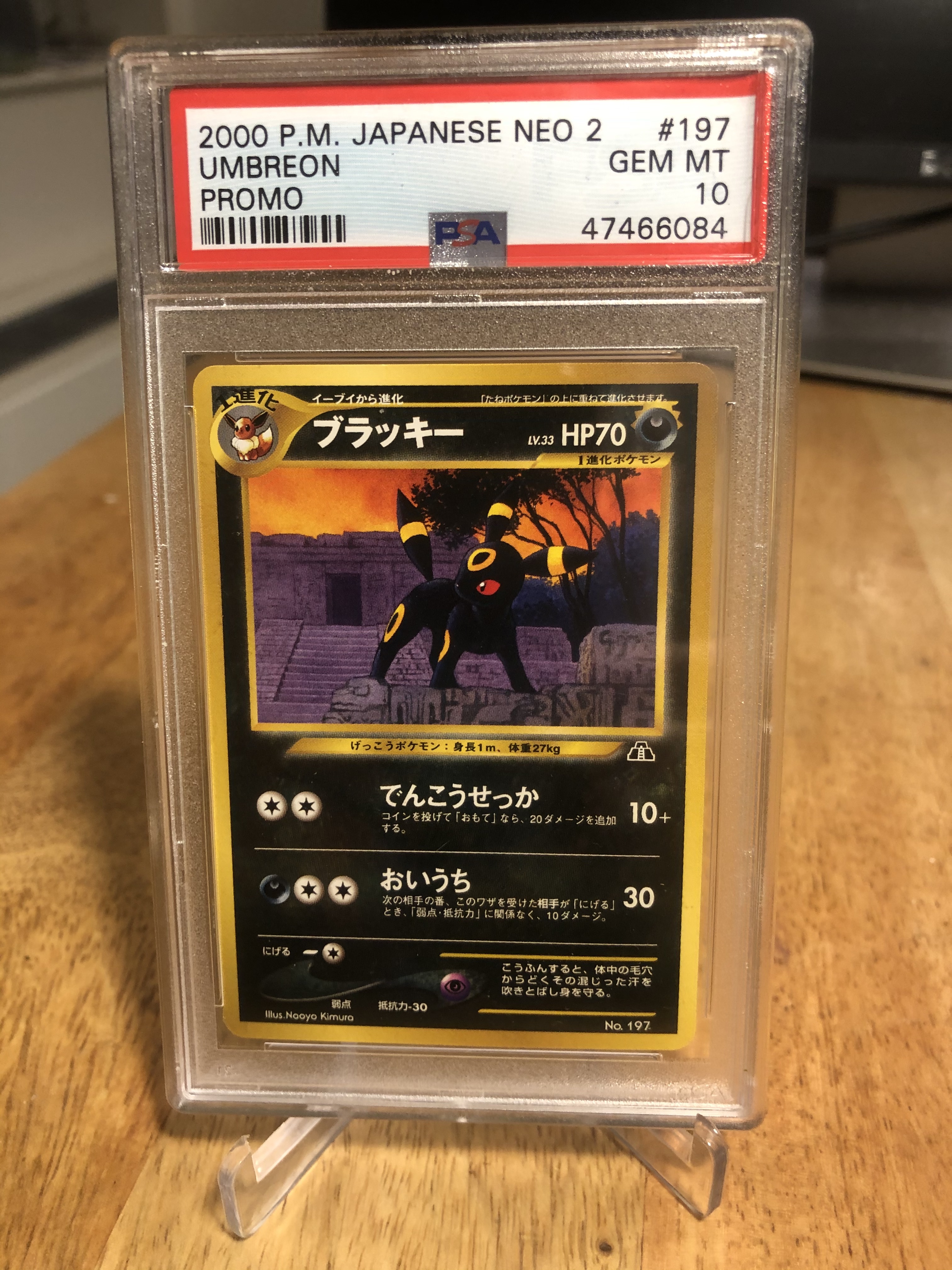 Mathonsunday's Umbreon And Friends Collection - Collecting